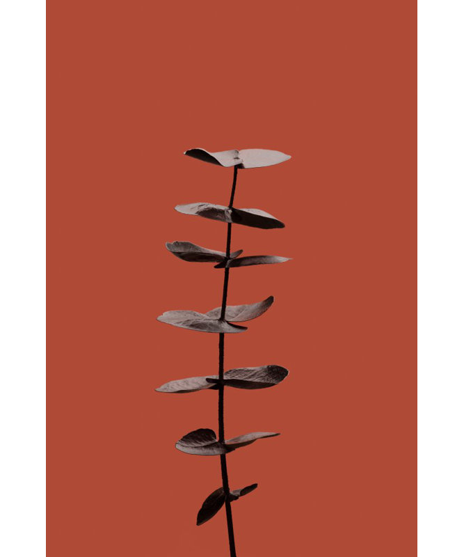 Wrapped Canvas Print, 76.2cm H x 50.8cm W