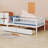Wood Daybed Bed With Two Drawers-1404658250