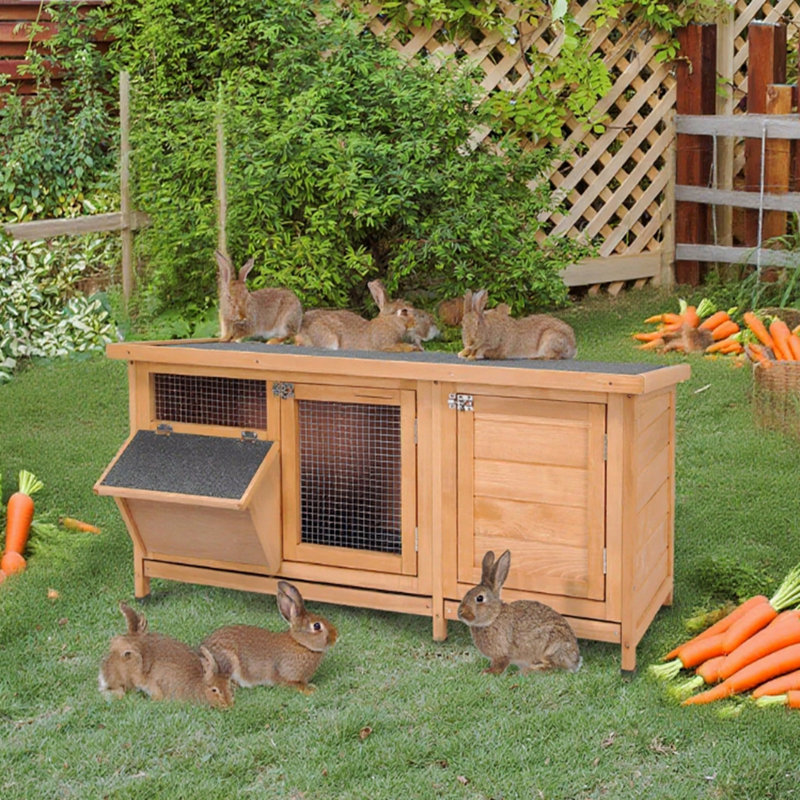 Cage à lapin