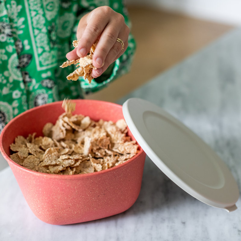 CONNECT 35ml Food Storage Container, Nature Coral