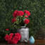 Buisson de géranium artificiel en polyester-2016674830-2016674831
