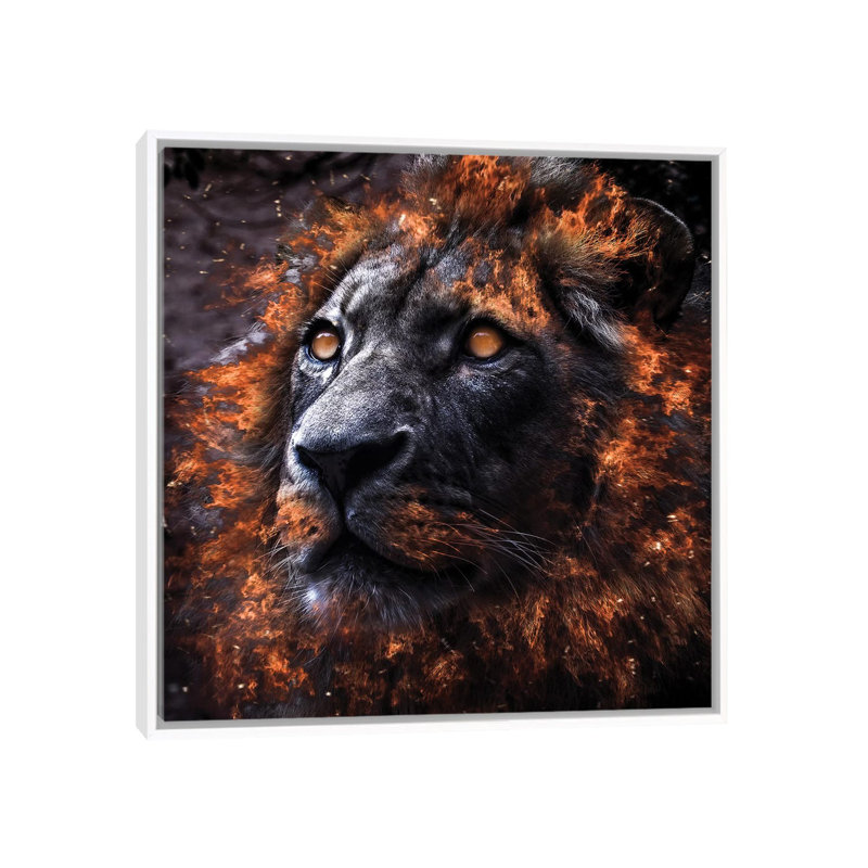 Alpha by Paul Haag - Print on Canvas, White Framed, 45.72 cm H x 45.72 cm W