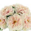 Peony Bunch In A Glass Vase With Bubble
