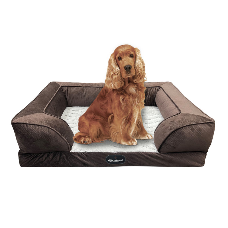 Lit pour animaux Supreme Comfort Couch, Très grand (l 43 po x P 30 po x H 10 po), Brun