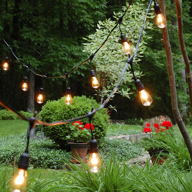 Kennerson Electric Commercial Grade String Lights with 12 Edison Bulbs