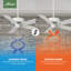 54" Panama Ceiling Fan And Handheld Remote-1445902498