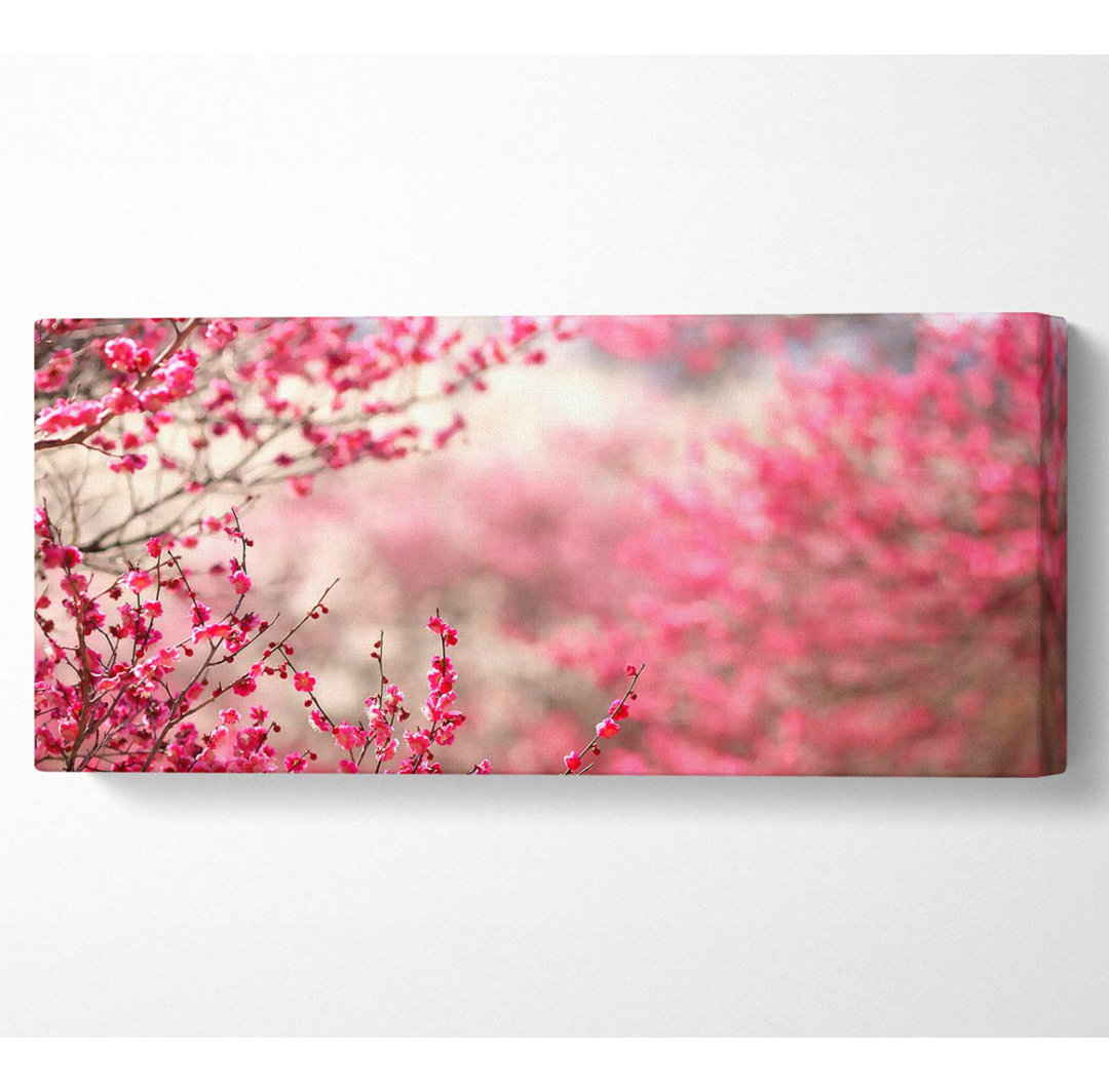 Frühlingszeichen - Kunstdrucke auf Leinwand - Wrapped Canvas