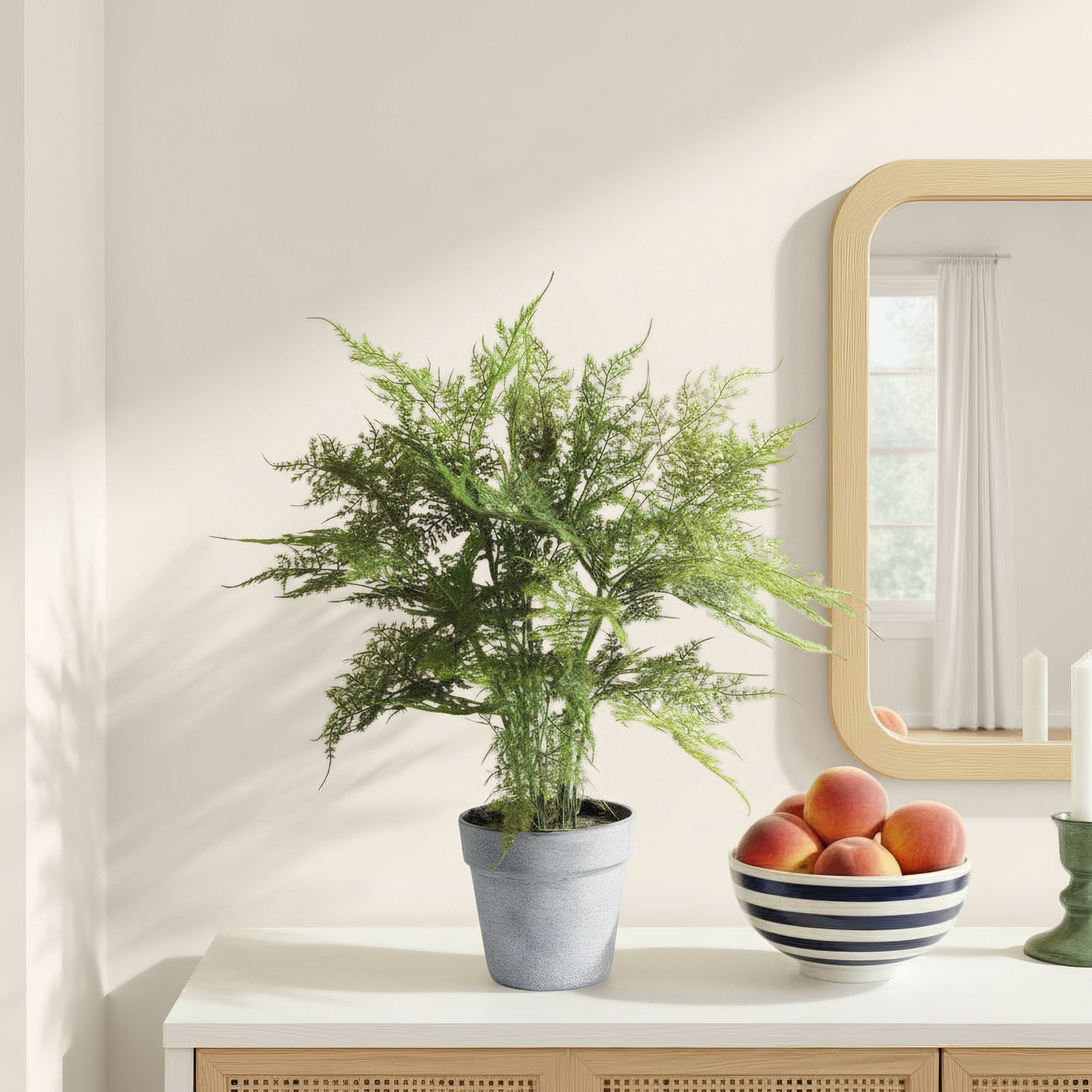 Plumosa Fern Drop-In 21"