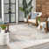 Sandy Indoor / Outdoor Rug