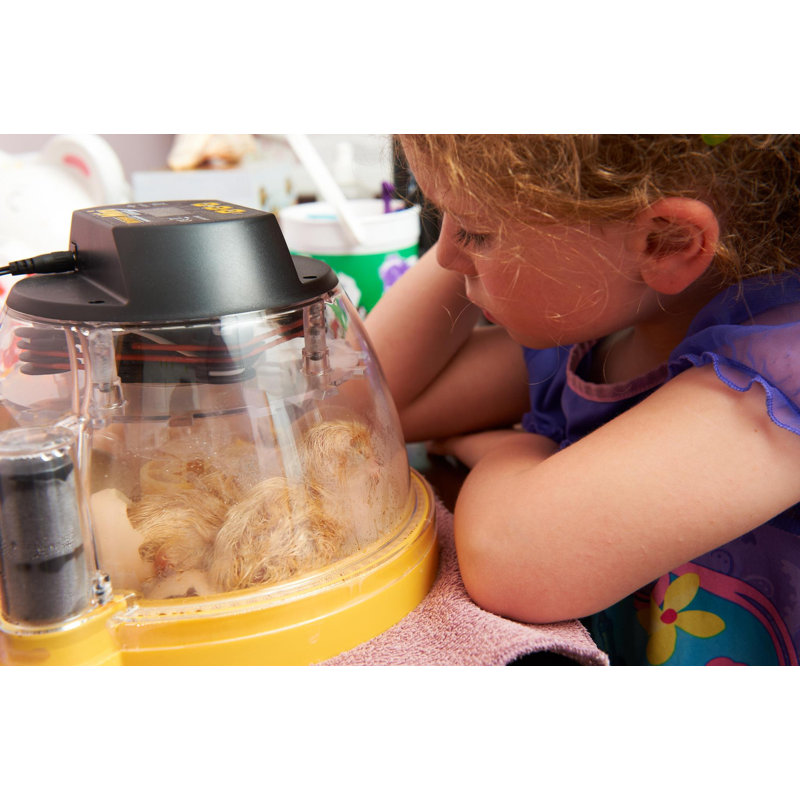 Mini II Chicken Egg Incubator For Up To 7 Eggs
