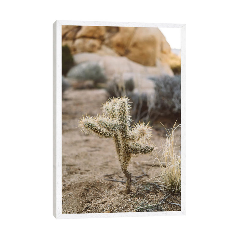 Joshua Tree National Park XVI by Bethany Young - Print on Canvas, White Framed, 101.6cm H x 66.04cm W x 3.81cm D