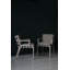 Strap Outdoor Teak Dining Armchair