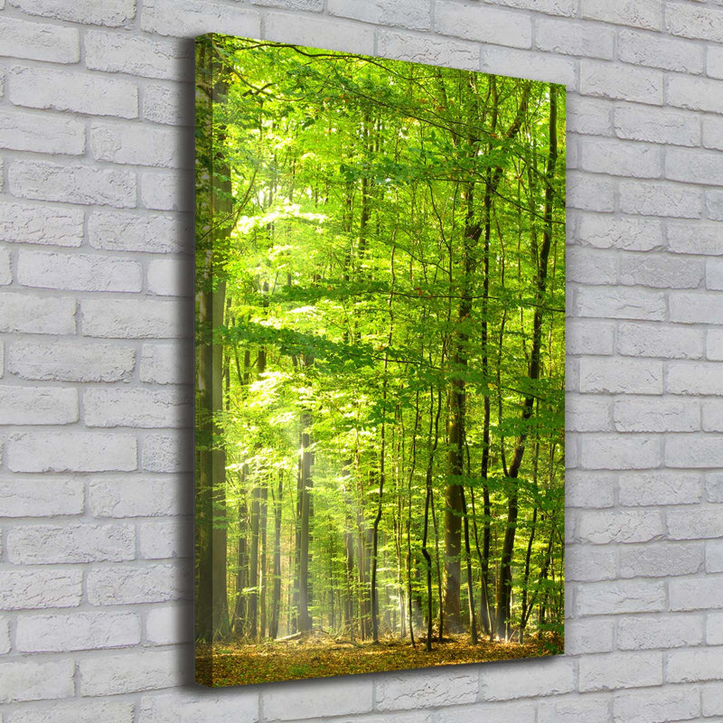 Beech Forest - Wrapped Canvas Print