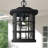 Cayman Outdoor Hanging Lantern