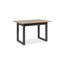 Alduina Extendable Dining Table-230812693