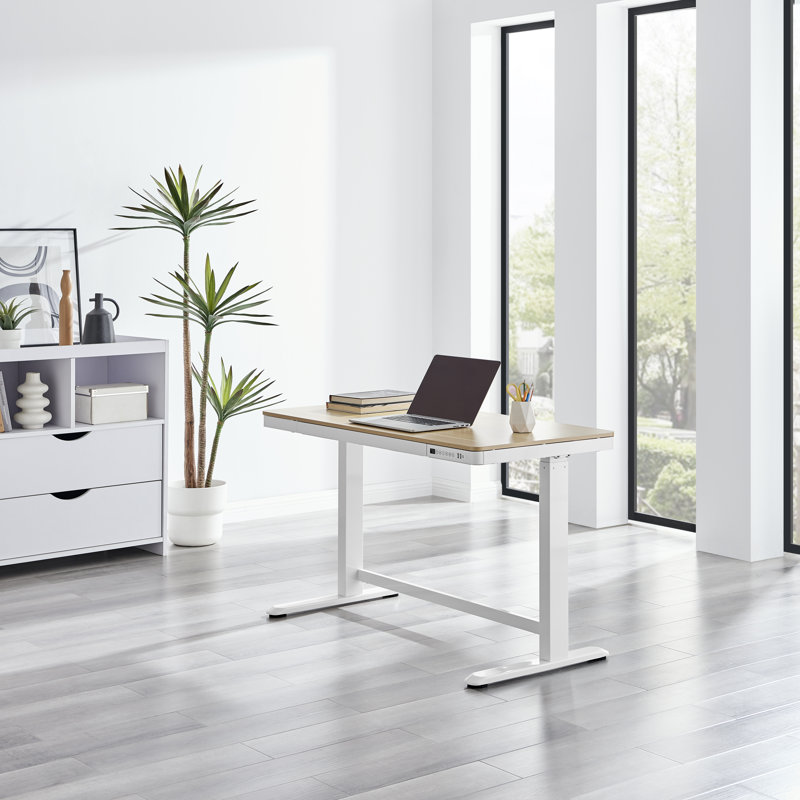 Electric Adjustable Standing Desk For Office - 116cm x 59cm, Brown, White
