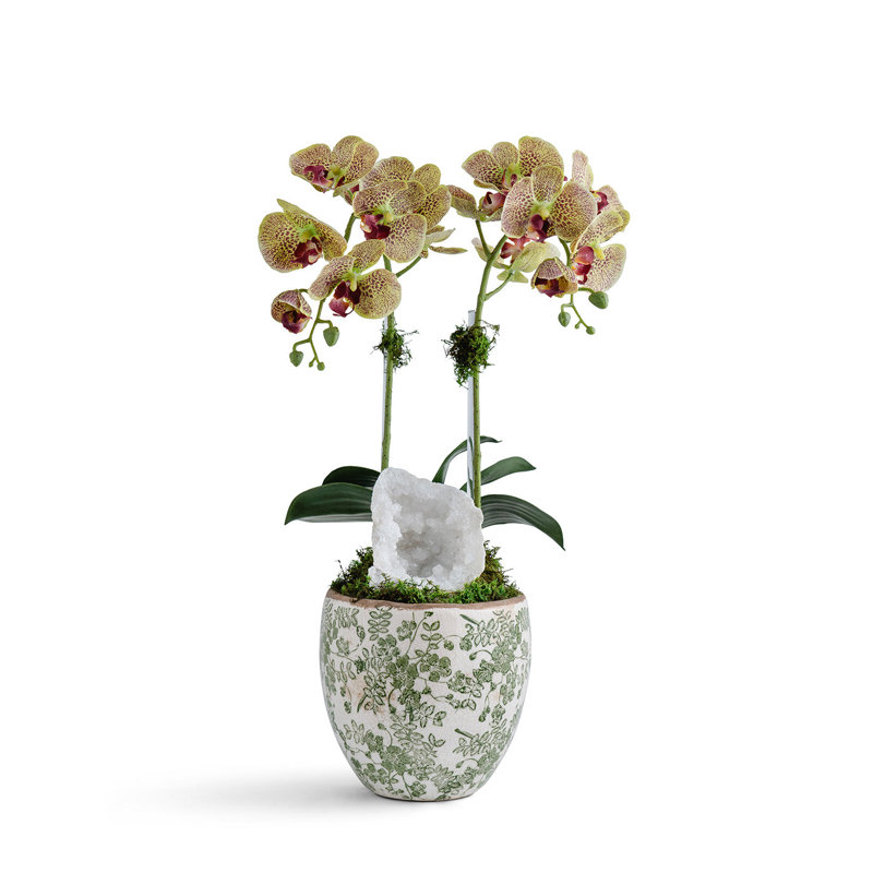 Double Orchid vase, White and Green, Green