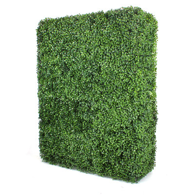 Mur de haie de buis (rectangle) - chacun