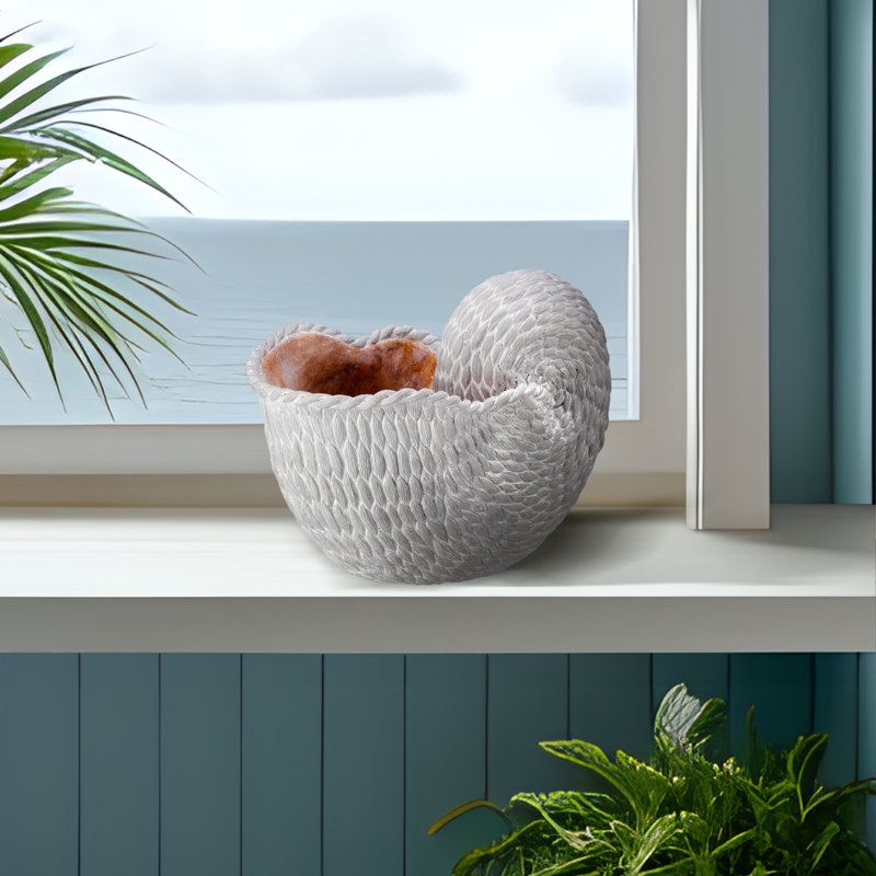 Coquille de Nautilus Anjae «Fabric Weave»