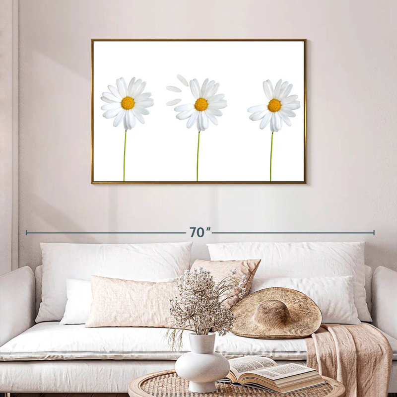 Marguerites plumées, Cadre flottant doré, 43 po x 29 po