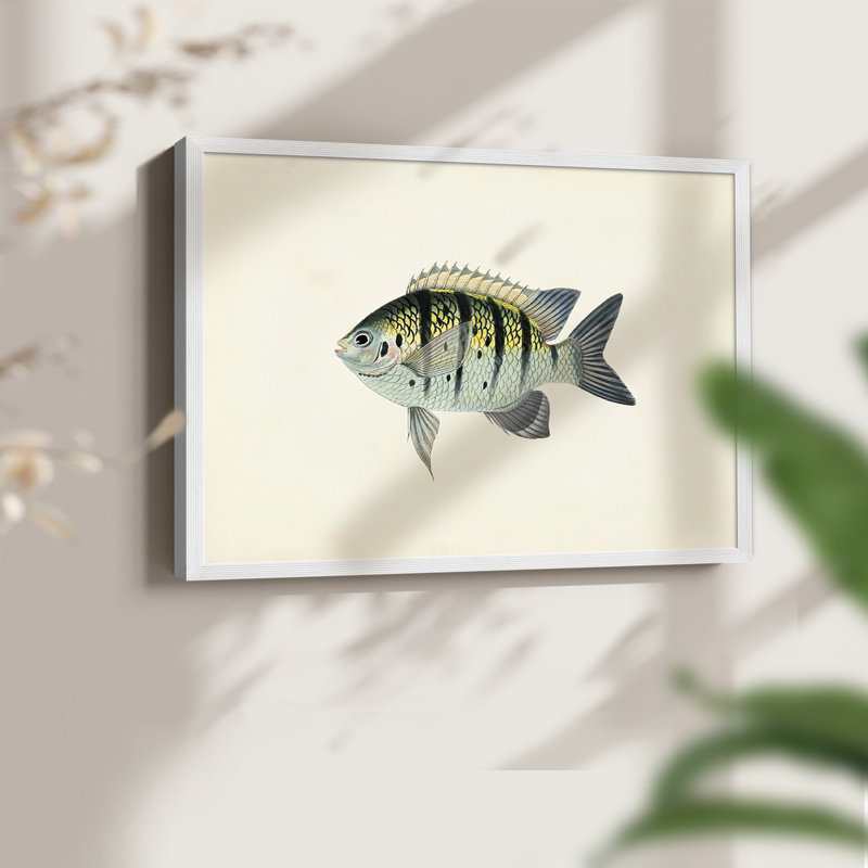 Tropical Fish Collection VI -Framed Print - Restickable, H 16 po x l 20 po, Blanc