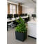 Daisy Square Stone Effect Planter Pot, Indoor and Outdoor Plant Pot, Frost Resistant with Drainage Hole-322213151-322213146