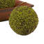 Landscape & Nature Vase Filler