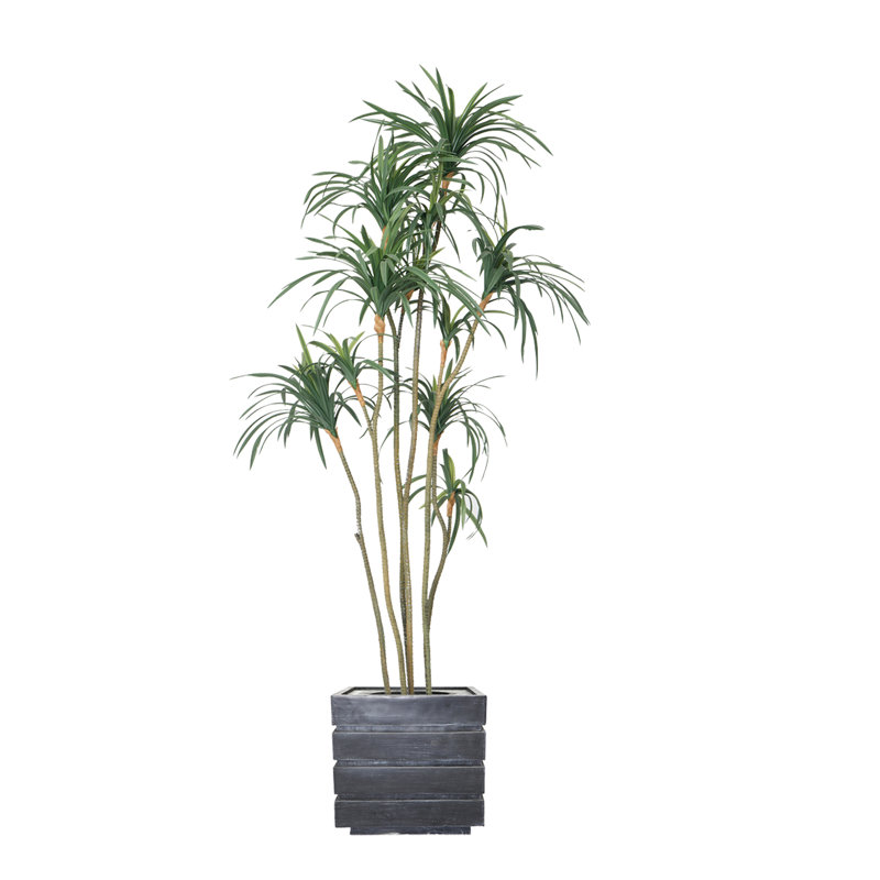 Dragon artificiel 80 po en pot, Gris