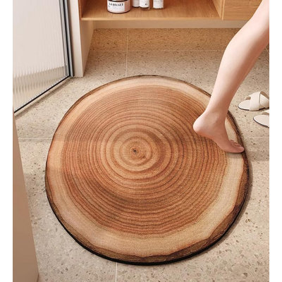 Decontamination Diatomaceous Earth Absorbent Bathroom Mat