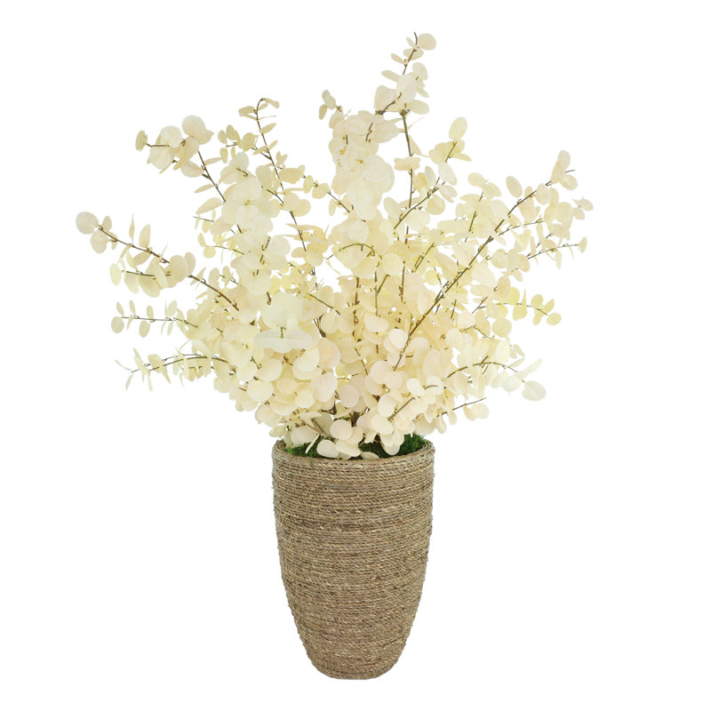 Eucalyptus Arrangement in a Rope Wrapped Planter