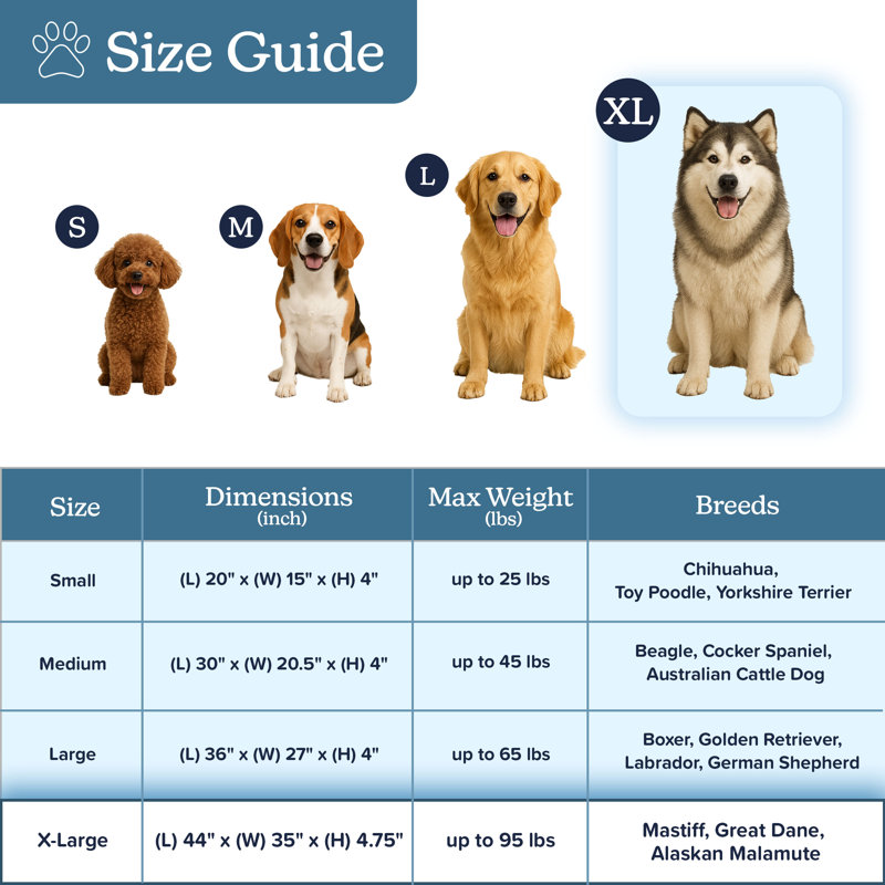 Lit pour chien orthopédique 2 couches PETMAker, Petit (H 4 po x l 20 po x P 15 po), Tanné