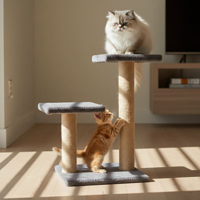 Cat Scratching Board