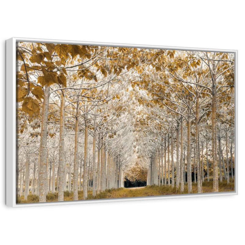 Or blanc, Cadre flottant blanc, 40 po x 27 po