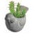 Derwin Pot Planter-1359998635-1359998634