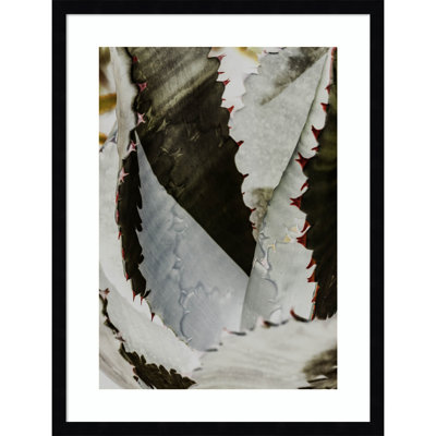 Daisey "Nova" Print by Shot by Clint