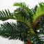 Anivea 150cm Faux Palm Tree in Pot