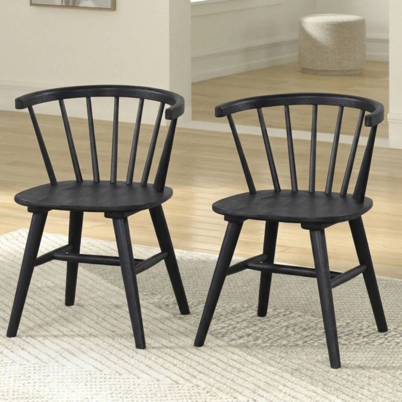 Ensemble de 2 chaises d'appoint noires Coleman, Noir