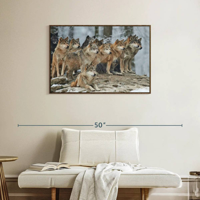 Wild Wolf Pack, 37" X 25", Floating Frame Walnut