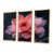 Gold Floater Framed Canvas