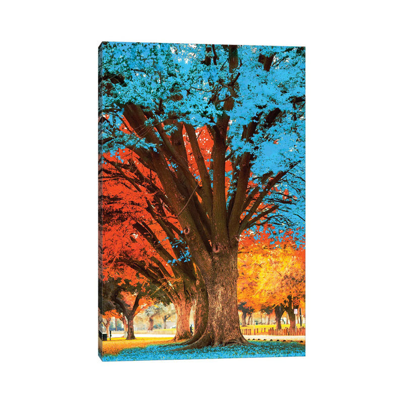 Blue Tree by David Loblaw - Wrapped Canvas Print, 20.32 cm H x 30.48 cm W