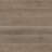 ParklandSandy Haze 7 in. x 48 in. 5mm 20mil Waterproof Rigid Core Luxury Vinyl Plank Flooring-127448508-102231249