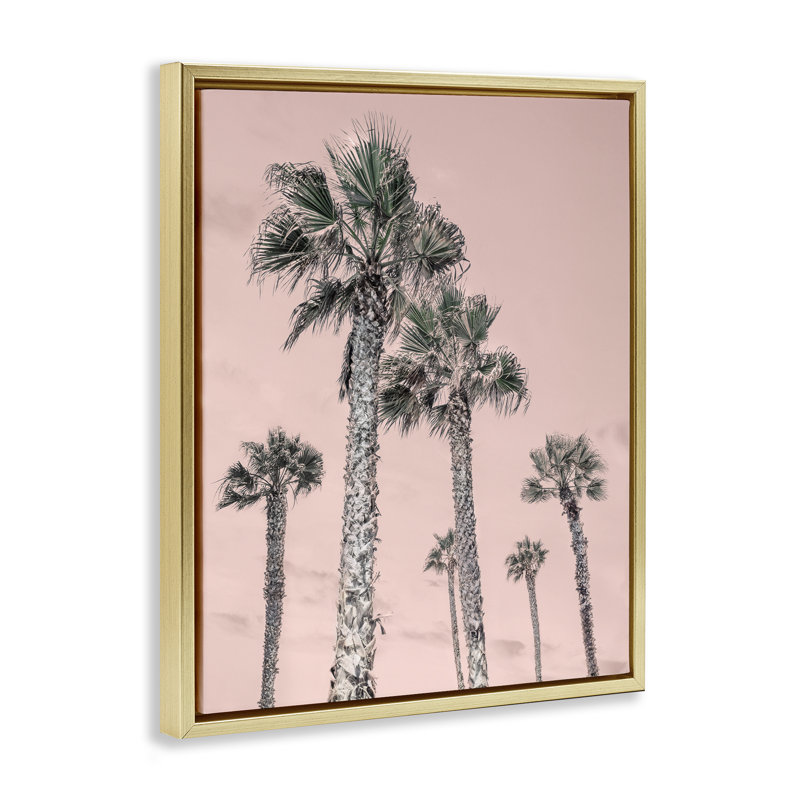 Cadre flottant Palm Up, ciel rose, design par Natalie Carpentieri, H 31 po x l 25 po, Cadre flottant métallique doré