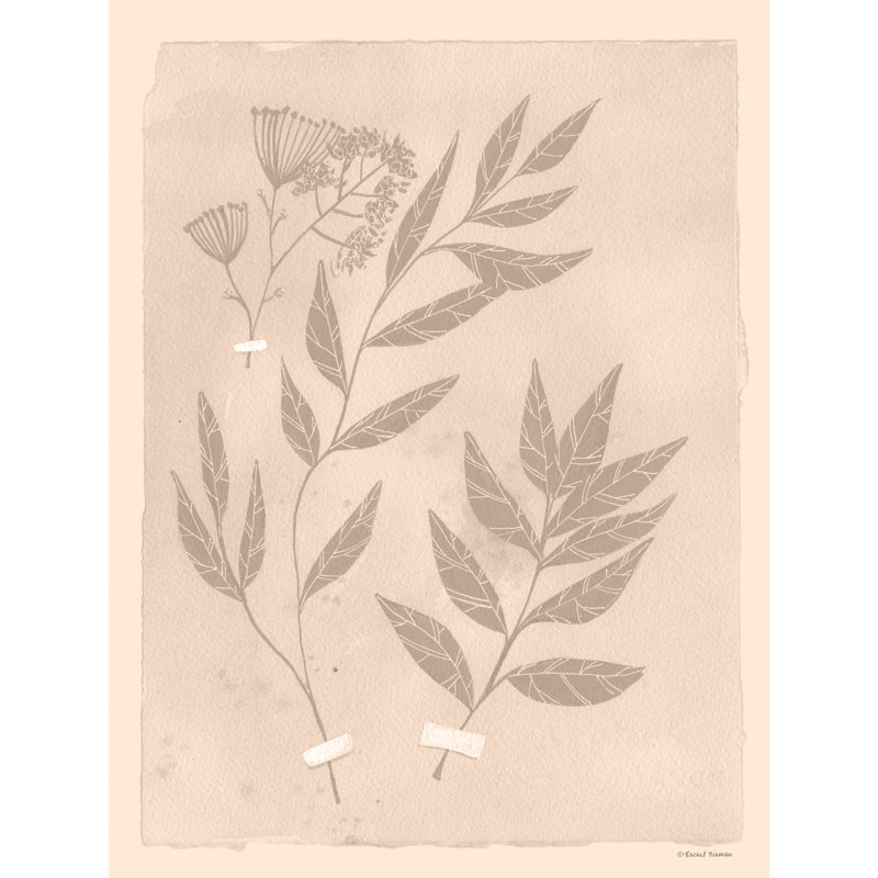 «Tearstain Florals II On Canvas» par Rachel Nieman, reproduction, H 36 po x l 24 po x P 1,25 po
