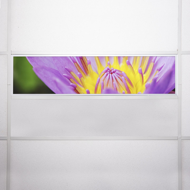 Flower Rectangle Fixture Component Ceiling Light