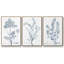 Ensemble de 3 pièces botaniques antiques encadrées sur toile IV-97759904-97759901