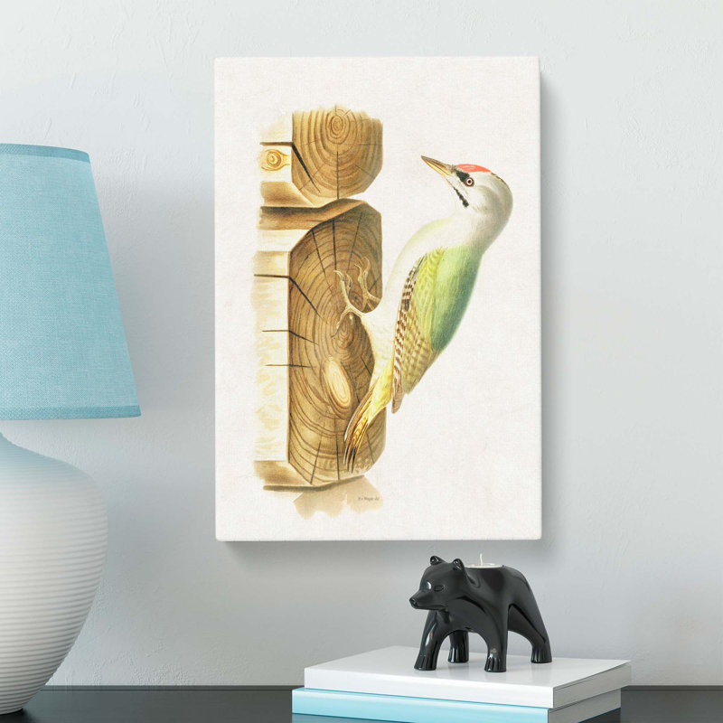 Woodpecker by Von Wright - Wrapped Canvas, 50cm H x 35cm W x 3cm D
