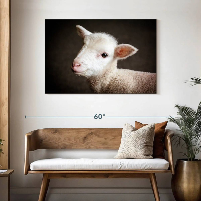 Brampt Baby Sheep, H 30 po x l 45 po