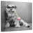Brampt Ziggy BW-109228587