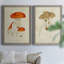 Toile encadrée de qualité supérieure Mushroom Variétés-816178478-816178473