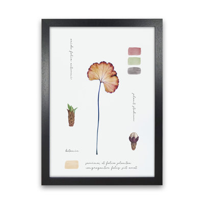 Botanic Notes - Print